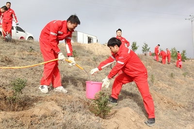 長慶油田采油七廠 企地共建“同心林”，科技賦能綠色發(fā)展